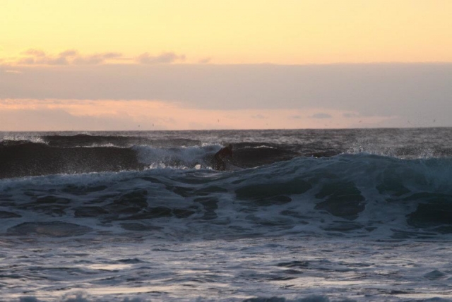  Godersi le onde 